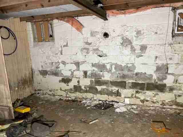 Testing again(9).jpg